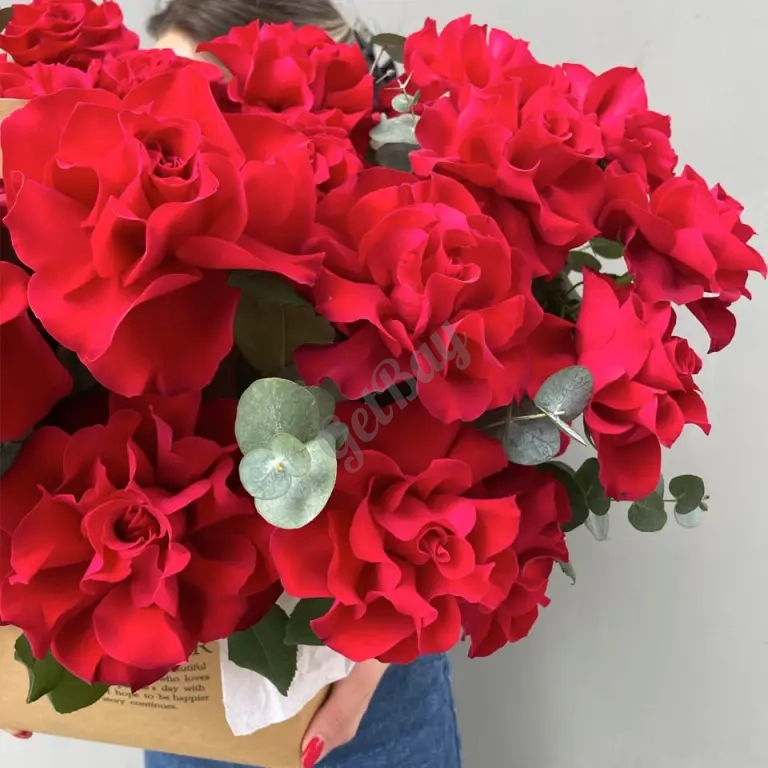 Композиция из 35 алых французских роз